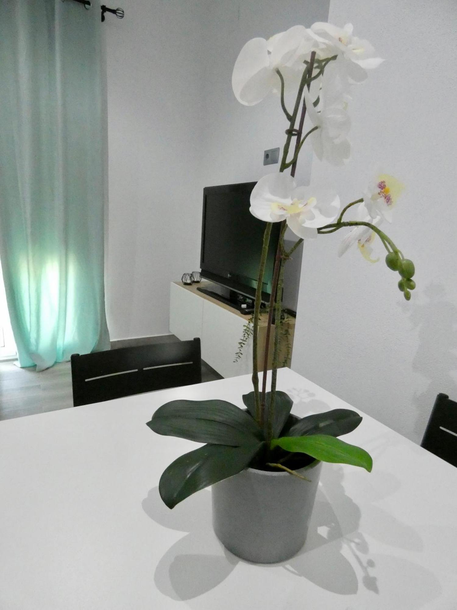 Appartamento Casa Monturrio Moguer Esterno foto